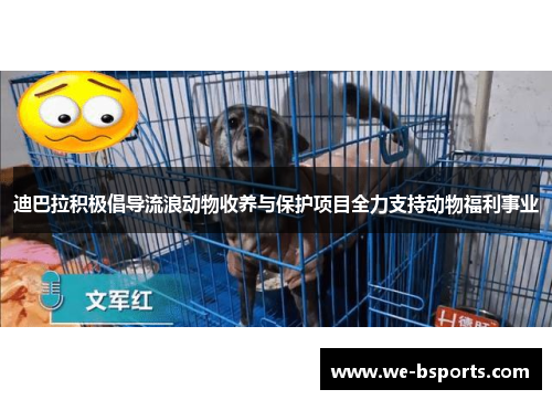 迪巴拉积极倡导流浪动物收养与保护项目全力支持动物福利事业 迪巴拉积极倡导流浪动物收养与保护项目全力支持动物福利事业
