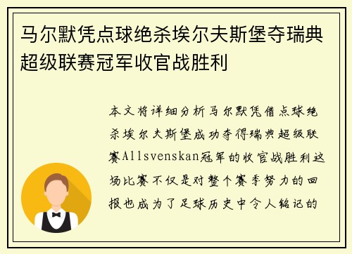 马尔默凭点球绝杀埃尔夫斯堡夺瑞典超级联赛冠军收官战胜利